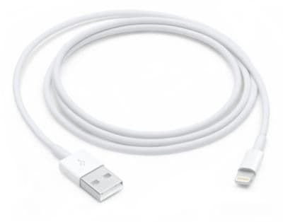 Câble Lightning APPLE vers USB 1m