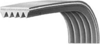 Courroie ESSENTIELB 14000223101/1