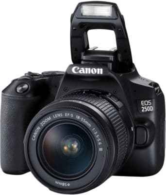 Appareil photo Reflex CANON EOS 250D Noir + 18-55mm IS STM Reconditionné