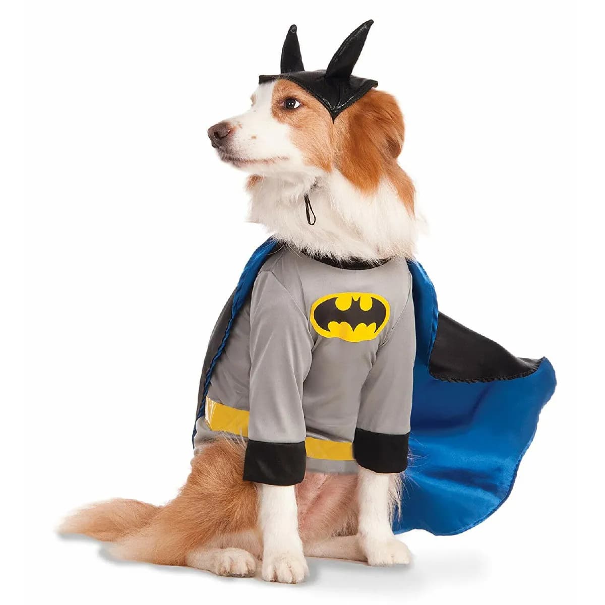 Rubie's Costume pour chien Batman