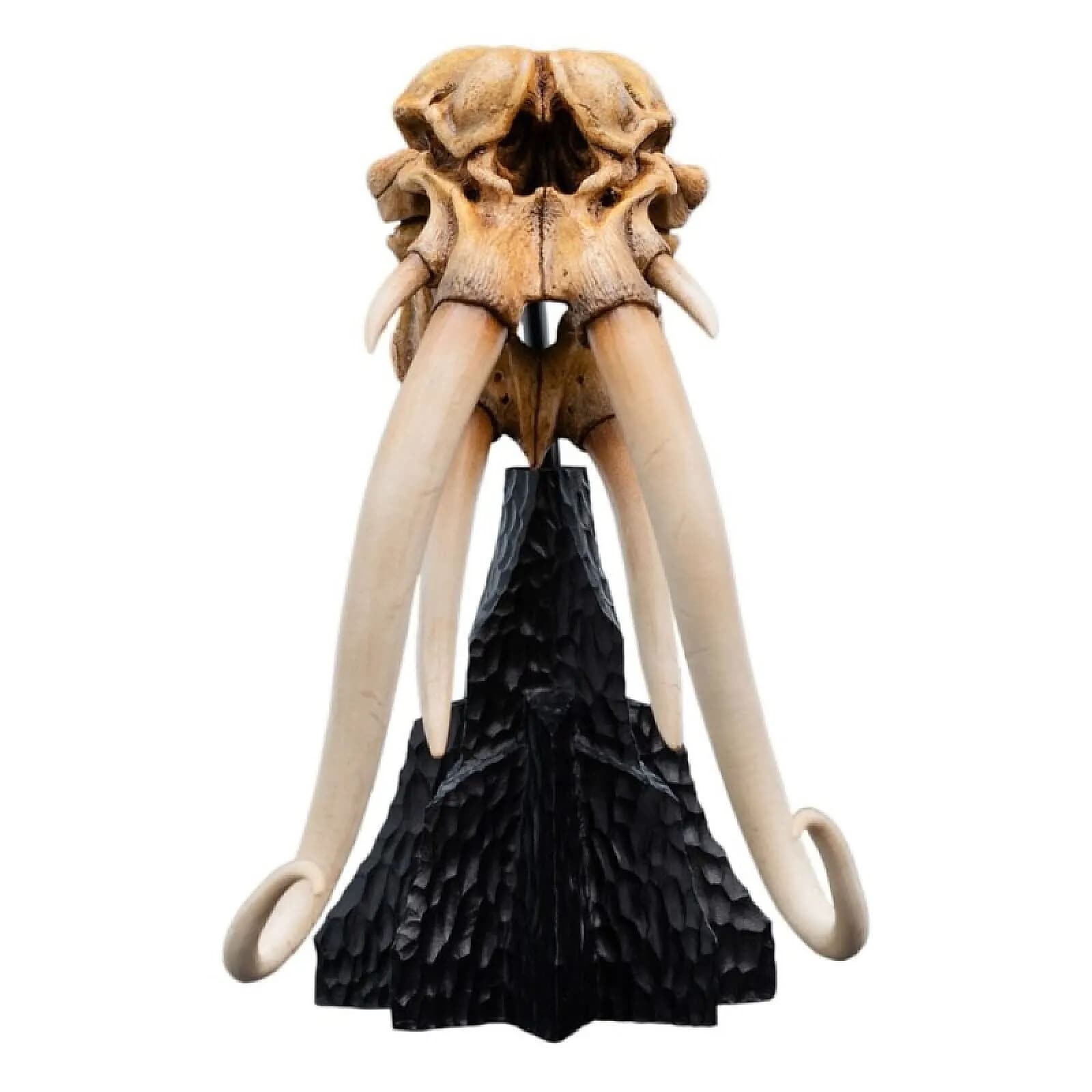 Le Seigneur des Anneaux - Statuette Skull of a Mumak 15 cm